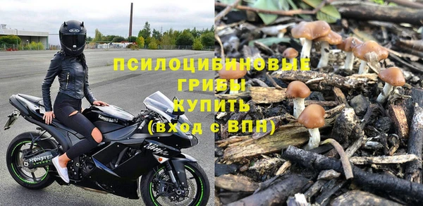 сатива Балабаново