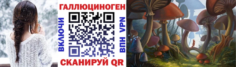 Псилоцибиновые грибы мицелий  Купить закладки  Суджа 