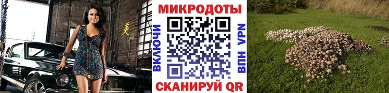 Псилоцибиновые грибы прущие грибы Суджа